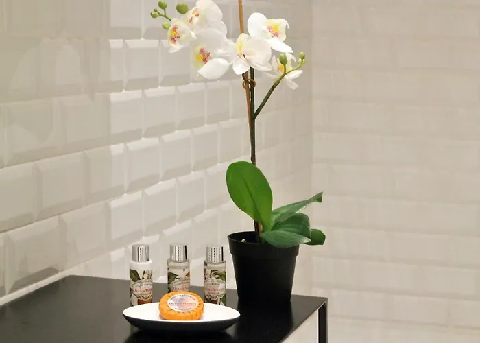 Hm - The Garden Porto